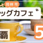 那覇ドッグカフェ・犬と行けるカフェのサムネイル画像