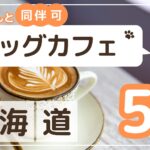 北海道ドッグカフェサムネイル