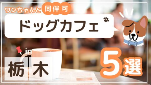 栃木ドッグカフェアイキャッチ