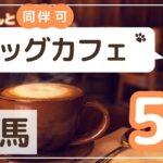 群馬のドッグカフェアイキャッチ