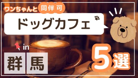 群馬のドッグカフェアイキャッチ