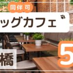 前橋ドッグカフェサムネイル