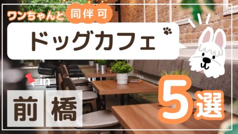 前橋ドッグカフェサムネイル