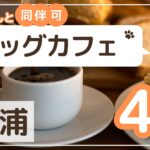 土浦市ドッグカフェサムネイル