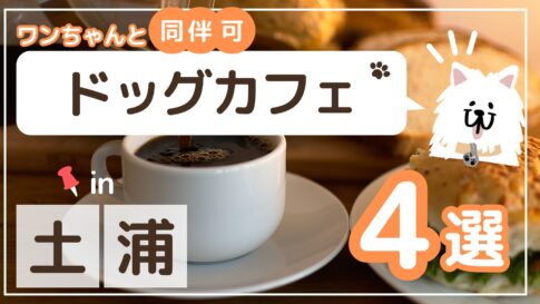 土浦市ドッグカフェサムネイル