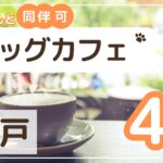 水戸市のドッグカフェサムネイル