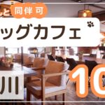 品川ドッグカフェ10選