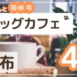 調布ドッグカフェ 4選