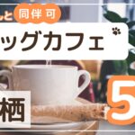 神栖市ドッグカフェ5選