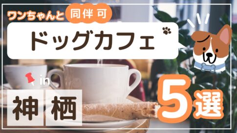 神栖市ドッグカフェ5選