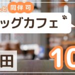 墨田区ドッグカフェ10選