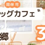 三郷ドックカフェ6選