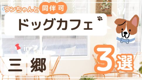 三郷ドックカフェ6選