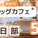 春日部市　ドッグカフェ5選