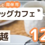 川越ドッグカフェ12選