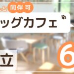 足立区ドックカフェ6選