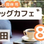 大田区ドッグカフェ8選