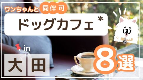 大田区ドッグカフェ8選