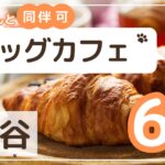 熊谷ドッグカフェ6選